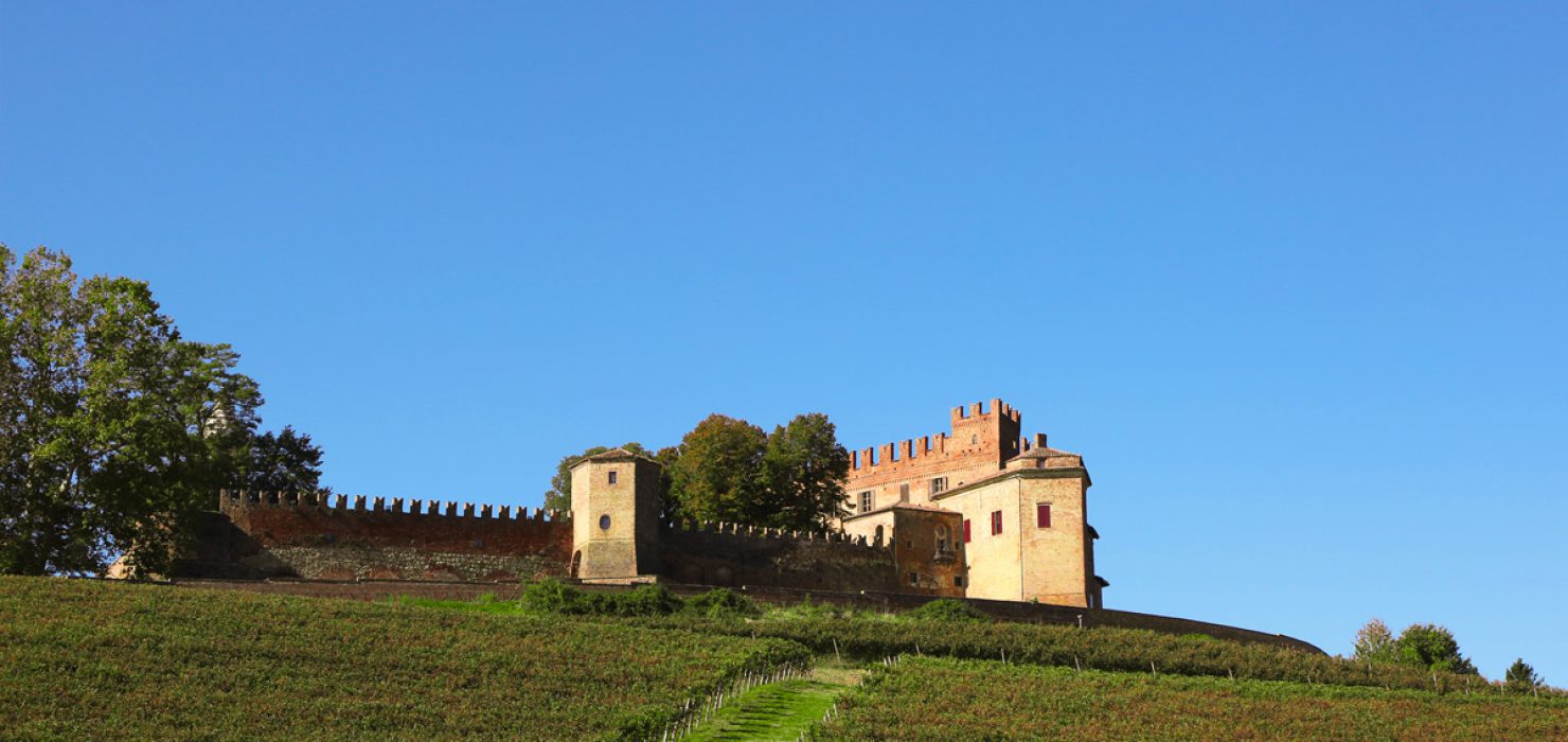 Castello Monferrato | Prediomagno